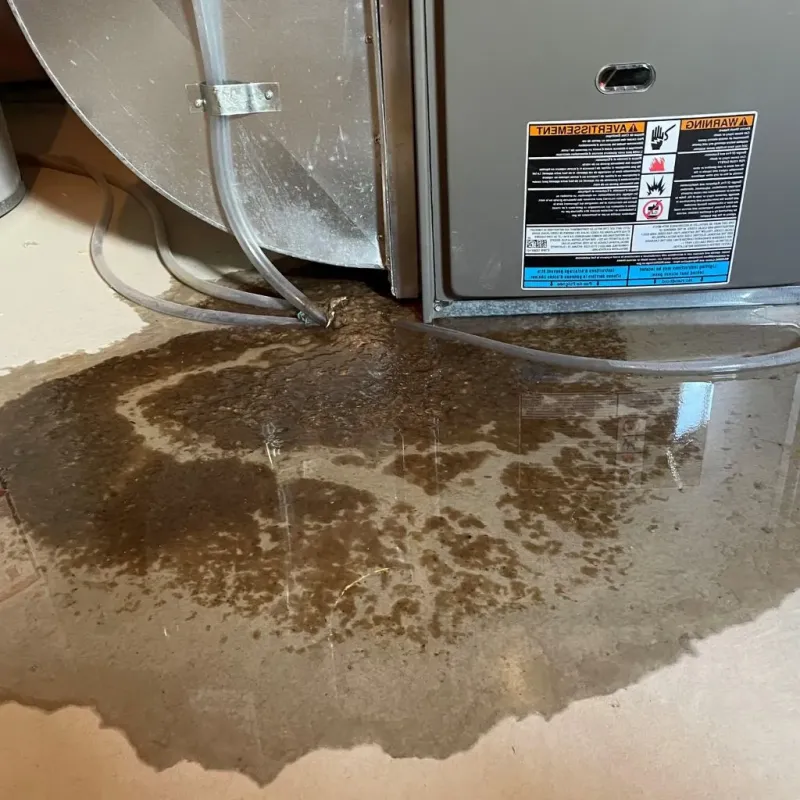 Pipe Burst and Leak Restoration in Hartford City, IN