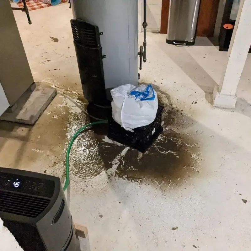 Sewage Backup Cleanup Service in Hartford City, IN